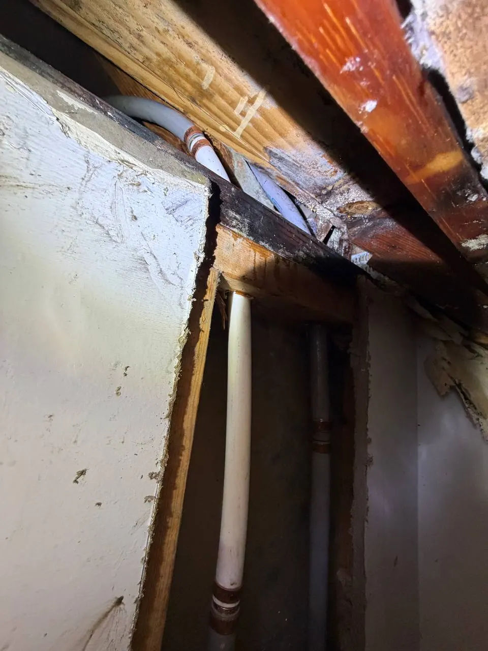 Opened closet wall showing the new PEX supply line joined to the existing piping with transition fittings